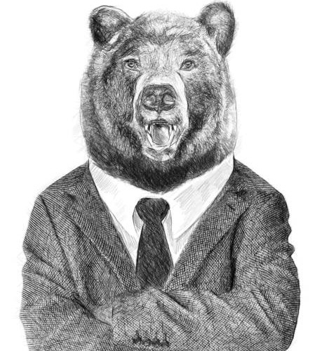 İçindeki Ayı Hangisi?