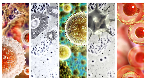Buzullardaki Kadim Bakterilerin İnsanlığı Tehdidi