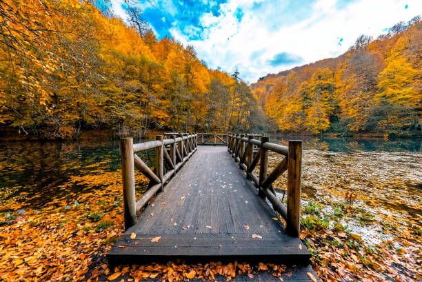 Bugün Günlerden: Bolu