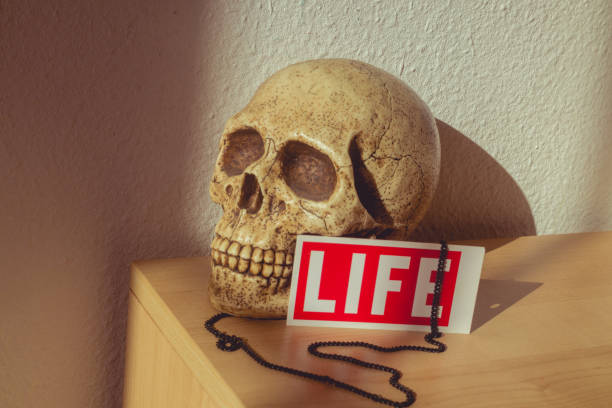 Dünyada Yaşamak mı, Dünyadan Geçmek mi?