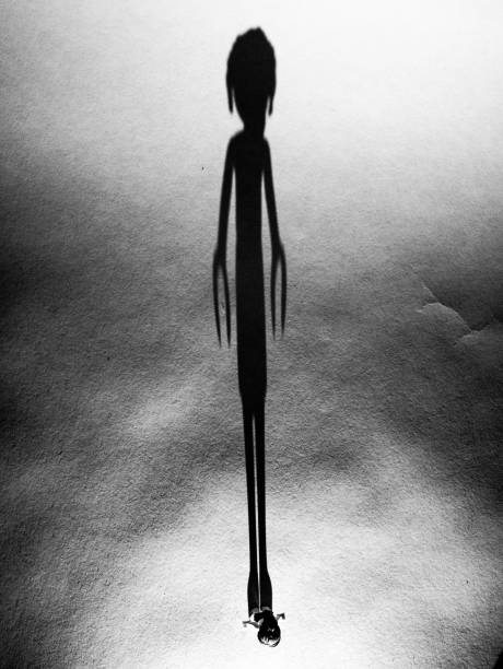 Ruhun Siyah Tarafı; Gölge