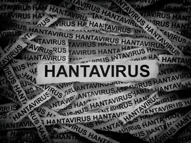 Dünya Sağlık Örgütü Kayıtlarına Göre Hantavirüs Gerçeği
