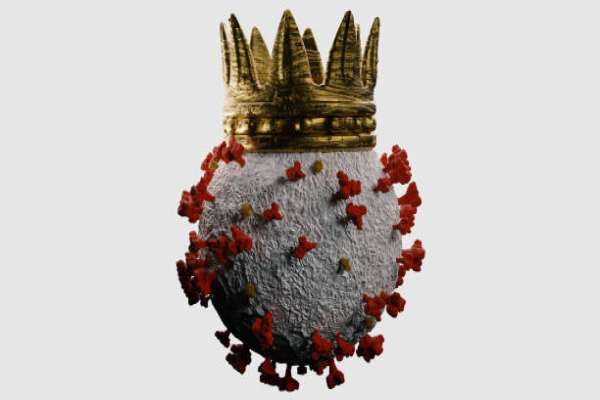 Dünyayı Hücreler Mi Yönetiyor?