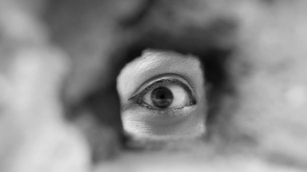 Truman Show Anı: Hepimizin Bir Anlığına Dünyayı Sahne Gibi Görmesi