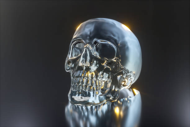 Kristal Kafatasları   Maya Uygarlığının Işıltılı Sırrı