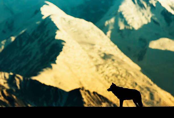 Ergenokon Destanı: Demiri Eriten  Milletin Uyanışı