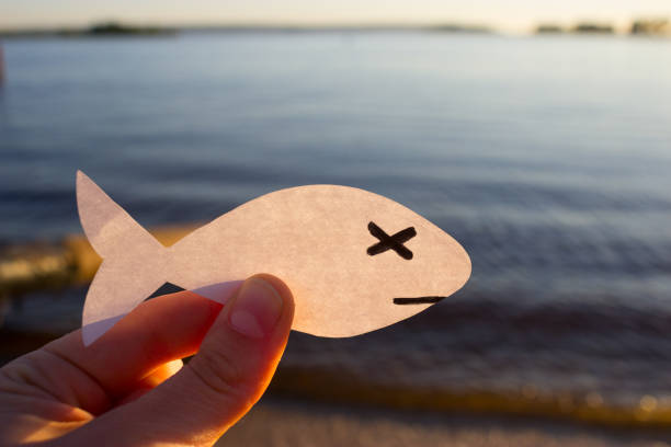 Ağdaki İstenmeyen Balık