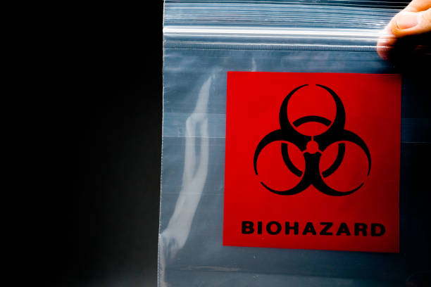 Ameliyattan Sonra Ne Oluyor? Organlar ve Tıbbi Atıkların Gizli Yolculuğu