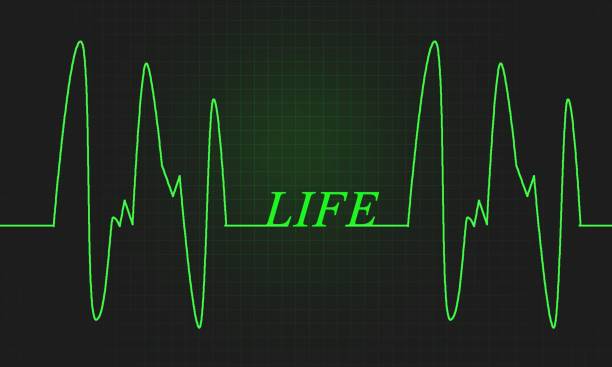 Modern Hayat Neden İnsan Frekansını Düşürüyor