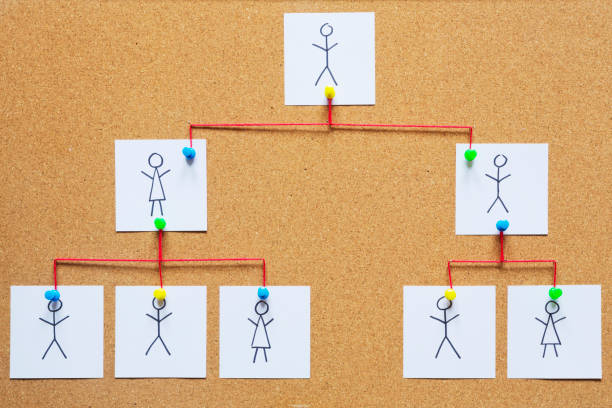 Türk Medeni Kanunu ve Yargıtay Kararları Işığında Mirasın Paylaşılması