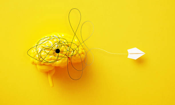 Kaos Teorisinin Bilimsel Gerçeği