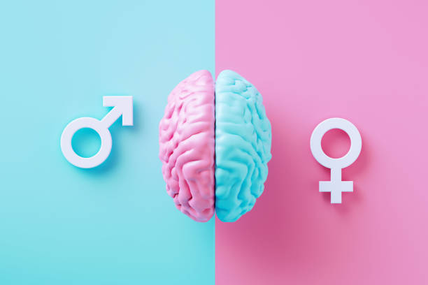 Beyinde Cinsel İsteğin Biyolojik Temeli