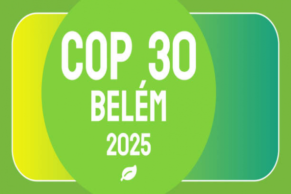 COP 30; Küresel İklim Mücadelesi
