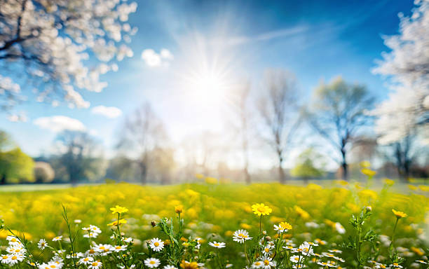 Nisan; Ruhun Uyanışı ve Yeniden Başlamanın Sessiz Daveti