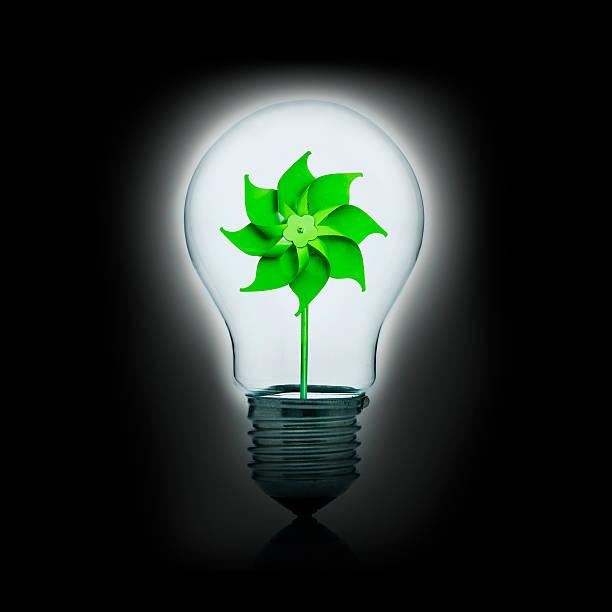 Yeşil Enerjinin Gücü