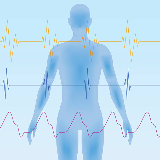 Frekansların Bedendeki Etkileri