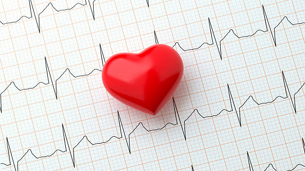 Kalp Sağlığını Destekleyen 6 Şaşırtıcı Yaşam Tarzı Alışkanlığı