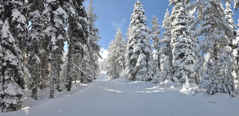 Sömestr: Çocukluğun Beyaz Mevsimi