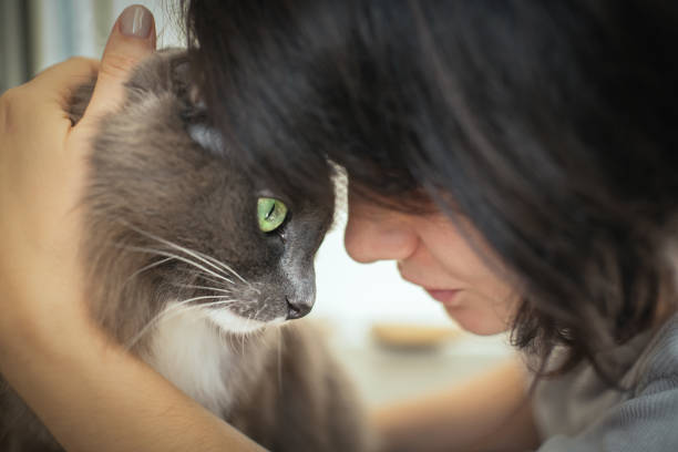 Kedilerle Kurulan Bağın Duygusal İşlevleri