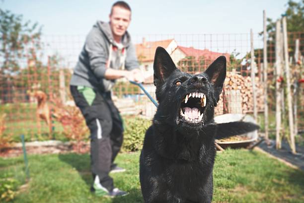 Köpekle Korkutmak Silahla Tehdit Sayılabilir