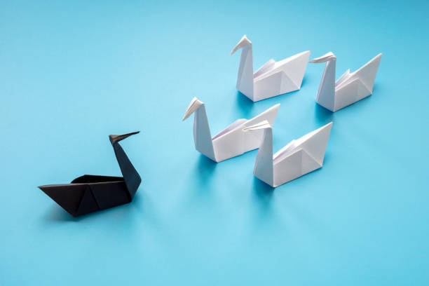 Hata Yapmaktan Korkanların Hikayesi: Black Swan (Siyah Kuğu) Gerçeği