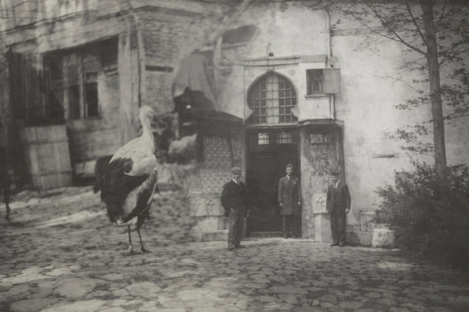 Gurabahane-i Laklakan (Kimsesiz Leylekler Hastanesi)