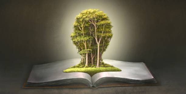 Cahillik Mutluluk Mudur?