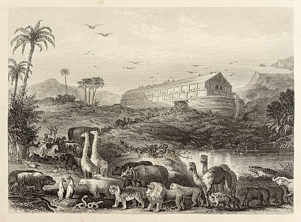 Nuh’un Gemisi’ne Binemeyen Bir Tür Var Mıydı?