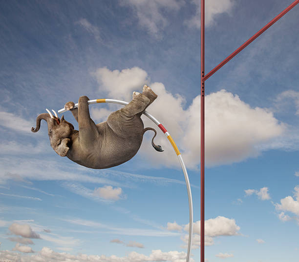 Dünyanın En Tuhaf Sporları