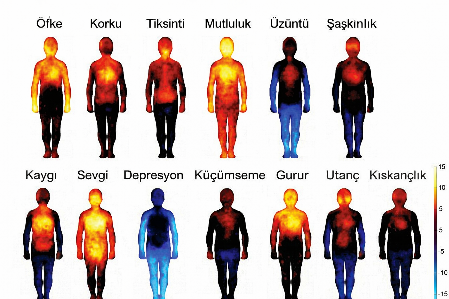 Stresin Organlara Yansıması: Hangi Duygu Nerede Tutulur