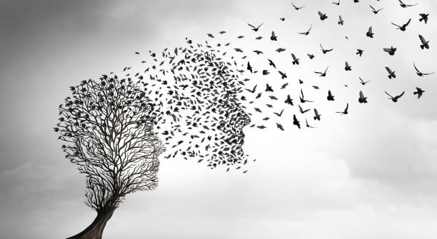 Sevdiğini Kaybeden İnsanların Yaşadığı Süreç