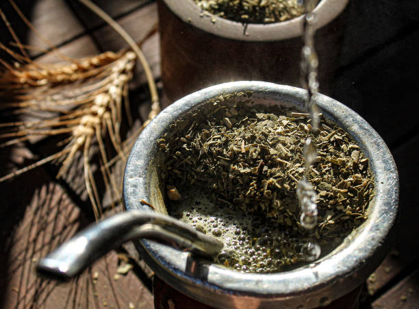 Yerba Mate: Güney Amerika'nın Asırlık Enerji İçeceği