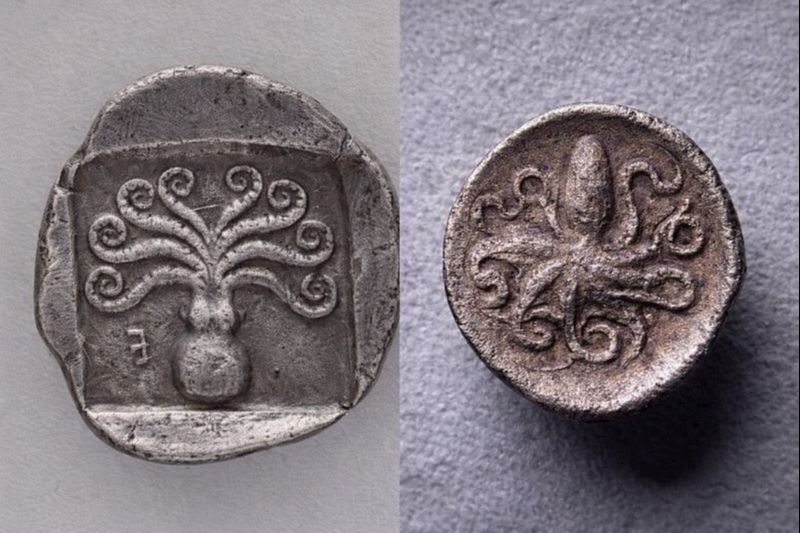 Antik Yunan Sikkelerindeki Ahtapot Ne Anlatıyor?