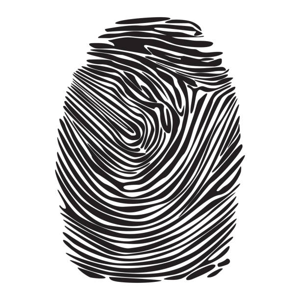 Doğanın İmzası: Parmak İzi ve Zebra Deseni